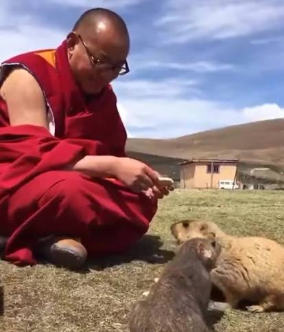 阿松仁波切與動物